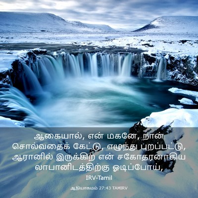 Picture 03 - ஆதியாகமம் 27:43 TAMIRV - ஆகையால், என் மகனே, - Bible Verse Picture