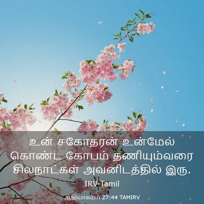 Picture 03 - ஆதியாகமம் 27:44 TAMIRV - உன் சகோதரன் - Bible Verse Picture