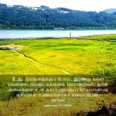 Picture 03 - ஆதியாகமம் 27:9 TAMIRV - நீ - Bible Verse Picture