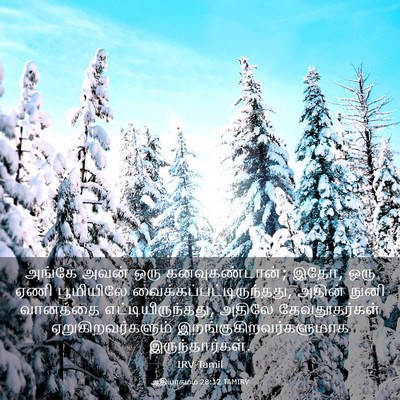 Picture 03 - ஆதியாகமம் 28:12 TAMIRV - அங்கே அவன் ஒரு - Bible Verse Picture