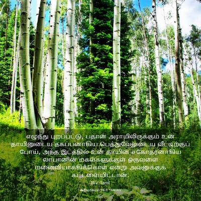 Picture 03 - ஆதியாகமம் 28:2 TAMIRV - எழுந்து - Bible Verse Picture