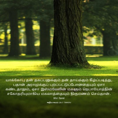 Picture 03 - ஆதியாகமம் 28:7 TAMIRV - யாக்கோபு தன் - Bible Verse Picture