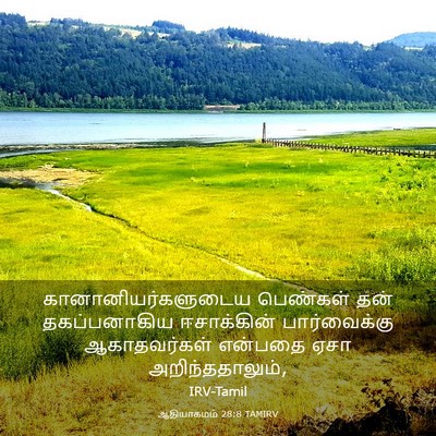 Picture 03 - ஆதியாகமம் 28:8 TAMIRV - கானானியர்களுடைய - Bible Verse Picture