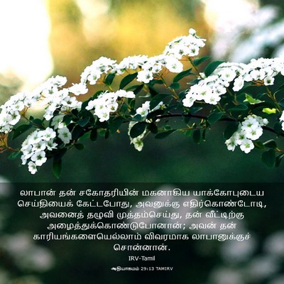 Picture 03 - ஆதியாகமம் 29:13 TAMIRV - லாபான் தன் - Bible Verse Picture
