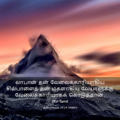 Picture 03 - ஆதியாகமம் 29:24 TAMIRV - லாபான் தன் - Bible Verse Picture