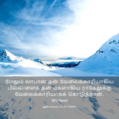 Picture 03 - ஆதியாகமம் 29:29 TAMIRV - மேலும் லாபான் தன் - Bible Verse Picture