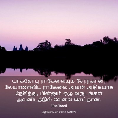 Picture 03 - ஆதியாகமம் 29:30 TAMIRV - யாக்கோபு - Bible Verse Picture