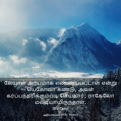 Picture 03 - ஆதியாகமம் 29:31 TAMIRV - லேயாள் அற்பமாக - Bible Verse Picture