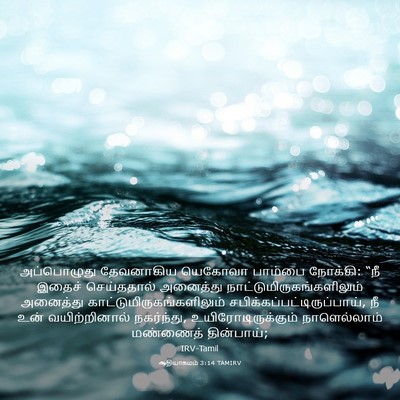 Picture 03 - ஆதியாகமம் 3:14 TAMIRV - அப்பொழுது - Bible Verse Picture
