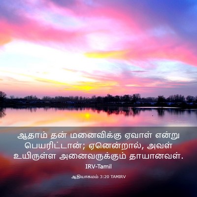Picture 03 - ஆதியாகமம் 3:20 TAMIRV - ஆதாம் தன் - Bible Verse Picture