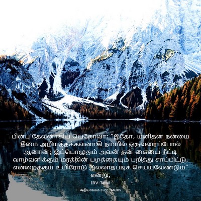 Picture 03 - ஆதியாகமம் 3:22 TAMIRV - பின்பு தேவனாகிய - Bible Verse Picture