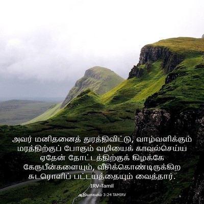 Picture 03 - ஆதியாகமம் 3:24 TAMIRV - அவர் மனிதனைத் - Bible Verse Picture