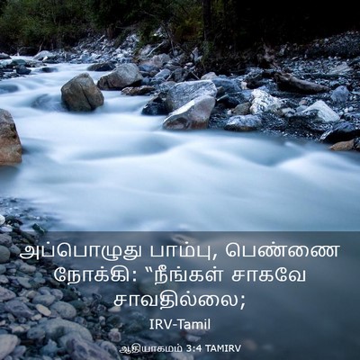Picture 03 - ஆதியாகமம் 3:4 TAMIRV - அப்பொழுது பாம்பு, - Bible Verse Picture