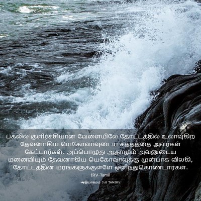 Picture 03 - ஆதியாகமம் 3:8 TAMIRV - பகலில் - Bible Verse Picture