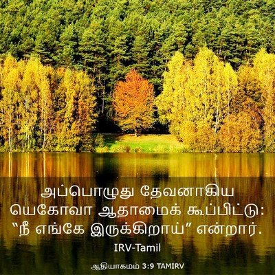 Picture 03 - ஆதியாகமம் 3:9 TAMIRV - அப்பொழுது - Bible Verse Picture