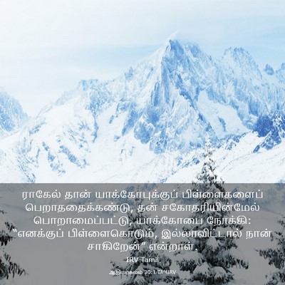 Picture 03 - ஆதியாகமம் 30:1 TAMIRV - ராகேல் தான் - Bible Verse Picture