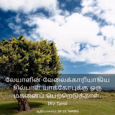 Picture 03 - ஆதியாகமம் 30:10 TAMIRV - லேயாளின் - Bible Verse Picture