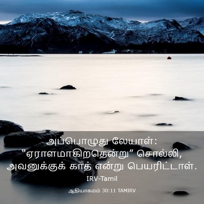 Picture 03 - ஆதியாகமம் 30:11 TAMIRV - அப்பொழுது லேயாள்: - Bible Verse Picture