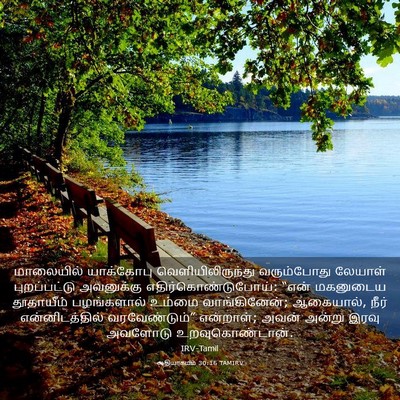 Picture 03 - ஆதியாகமம் 30:16 TAMIRV - மாலையில் யாக்கோபு - Bible Verse Picture
