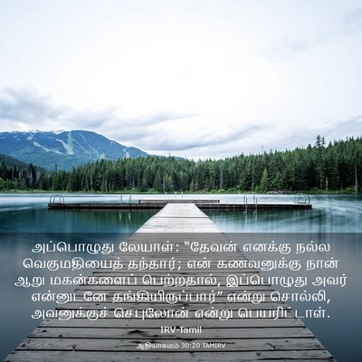 Picture 03 - ஆதியாகமம் 30:20 TAMIRV - அப்பொழுது லேயாள்: - Bible Verse Picture