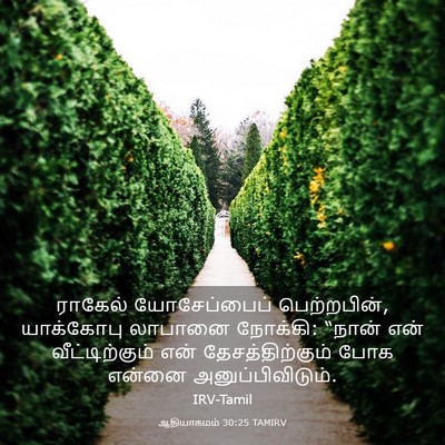 Picture 03 - ஆதியாகமம் 30:25 TAMIRV - ராகேல் யோசேப்பைப் - Bible Verse Picture