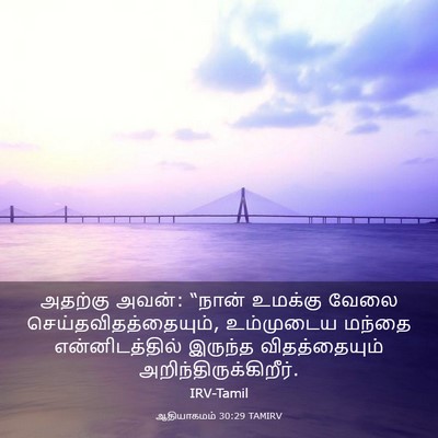 Picture 03 - ஆதியாகமம் 30:29 TAMIRV - அதற்கு அவன்: “நான் - Bible Verse Picture