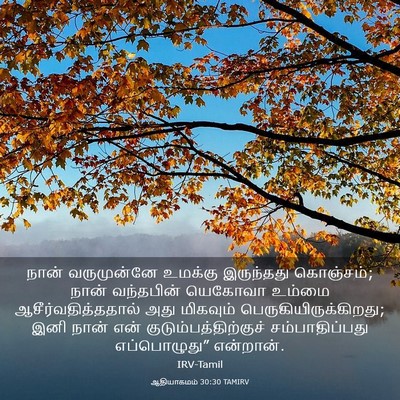 Picture 03 - ஆதியாகமம் 30:30 TAMIRV - நான் வருமுன்னே - Bible Verse Picture