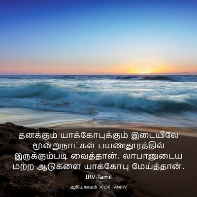 Picture 03 - ஆதியாகமம் 30:36 TAMIRV - தனக்கும் - Bible Verse Picture