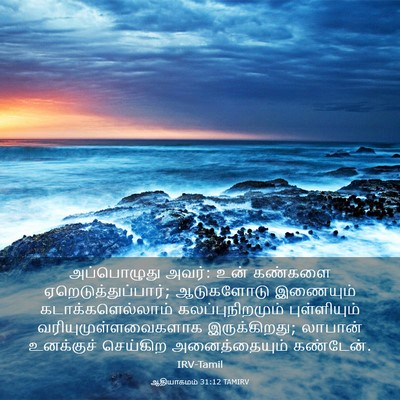 Picture 03 - ஆதியாகமம் 31:12 TAMIRV - அப்பொழுது அவர்: - Bible Verse Picture