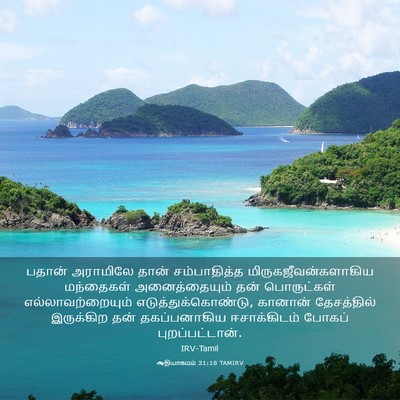 Picture 03 - ஆதியாகமம் 31:18 TAMIRV - பதான் அராமிலே - Bible Verse Picture