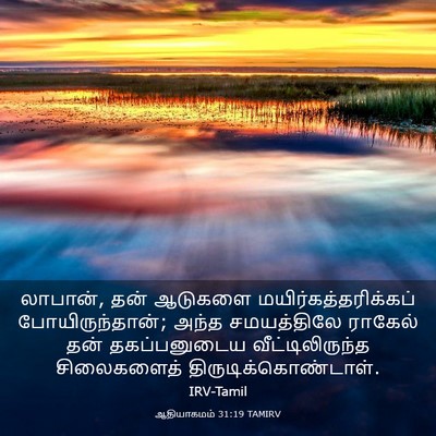 Picture 03 - ஆதியாகமம் 31:19 TAMIRV - லாபான், தன் ஆடுகளை - Bible Verse Picture
