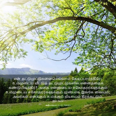 Picture 03 - ஆதியாகமம் 31:37 TAMIRV - என் - Bible Verse Picture