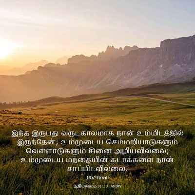 Picture 03 - ஆதியாகமம் 31:38 TAMIRV - இந்த இருபது - Bible Verse Picture