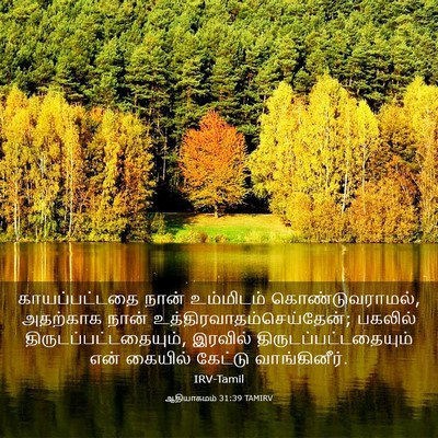 Picture 03 - ஆதியாகமம் 31:39 TAMIRV - காயப்பட்டதை நான் - Bible Verse Picture