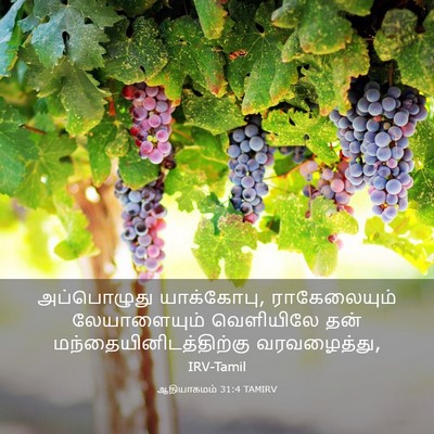 Picture 03 - ஆதியாகமம் 31:4 TAMIRV - அப்பொழுது - Bible Verse Picture