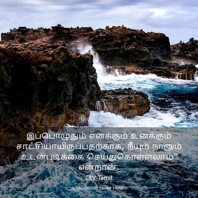Picture 03 - ஆதியாகமம் 31:44 TAMIRV - இப்பொழுதும் - Bible Verse Picture