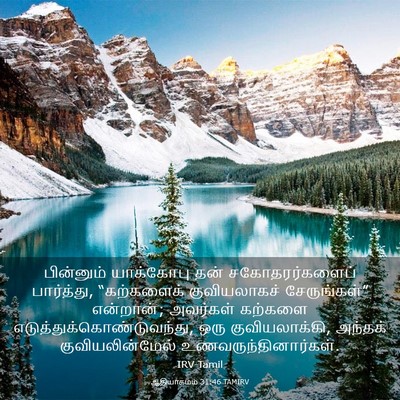 Picture 03 - ஆதியாகமம் 31:46 TAMIRV - பின்னும் யாக்கோபு - Bible Verse Picture