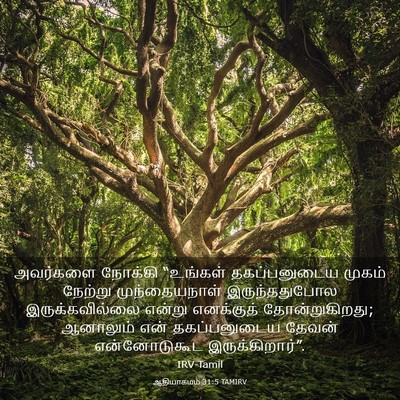 Picture 03 - ஆதியாகமம் 31:5 TAMIRV - அவர்களை நோக்கி - Bible Verse Picture