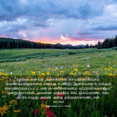 Picture 03 - ஆதியாகமம் 33:11 TAMIRV - தேவன் எனக்கு - Bible Verse Picture