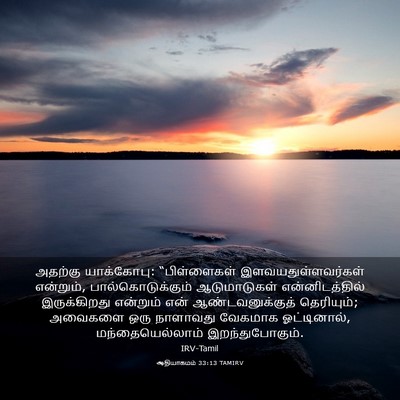 Picture 03 - ஆதியாகமம் 33:13 TAMIRV - அதற்கு யாக்கோபு: - Bible Verse Picture
