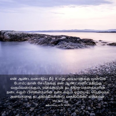 Picture 03 - ஆதியாகமம் 33:14 TAMIRV - என் ஆண்டவனாகிய - Bible Verse Picture