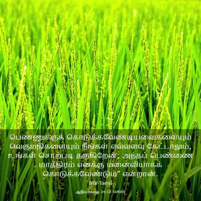 Picture 03 - ஆதியாகமம் 34:12 TAMIRV - பெண்ணுக்குக் - Bible Verse Picture