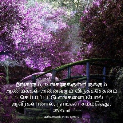 Picture 03 - ஆதியாகமம் 34:15 TAMIRV - நீங்களும், - Bible Verse Picture