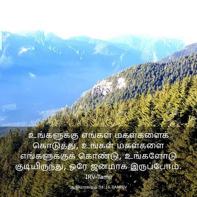 Picture 03 - ஆதியாகமம் 34:16 TAMIRV - உங்களுக்கு எங்கள் - Bible Verse Picture