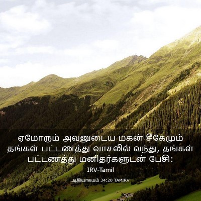 Picture 03 - ஆதியாகமம் 34:20 TAMIRV - ஏமோரும் அவனுடைய - Bible Verse Picture