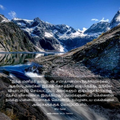 Picture 03 - ஆதியாகமம் 34:21 TAMIRV - “இந்த மனிதர் - Bible Verse Picture
