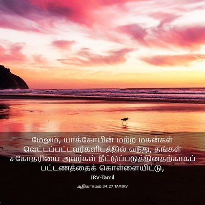 Picture 03 - ஆதியாகமம் 34:27 TAMIRV - மேலும், - Bible Verse Picture