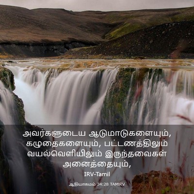 Picture 03 - ஆதியாகமம் 34:28 TAMIRV - அவர்களுடைய - Bible Verse Picture