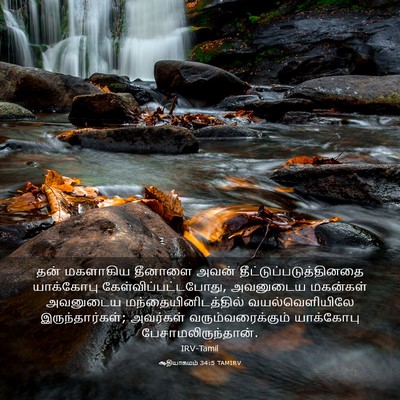 Picture 03 - ஆதியாகமம் 34:5 TAMIRV - தன் மகளாகிய - Bible Verse Picture