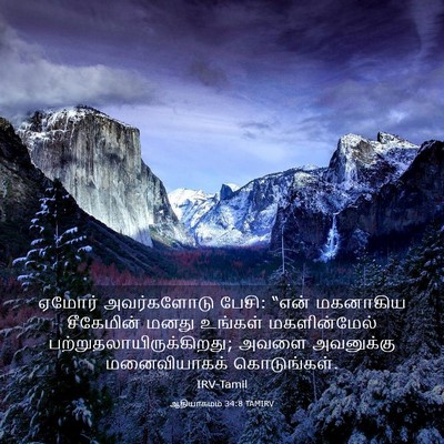 Picture 03 - ஆதியாகமம் 34:8 TAMIRV - ஏமோர் அவர்களோடு - Bible Verse Picture